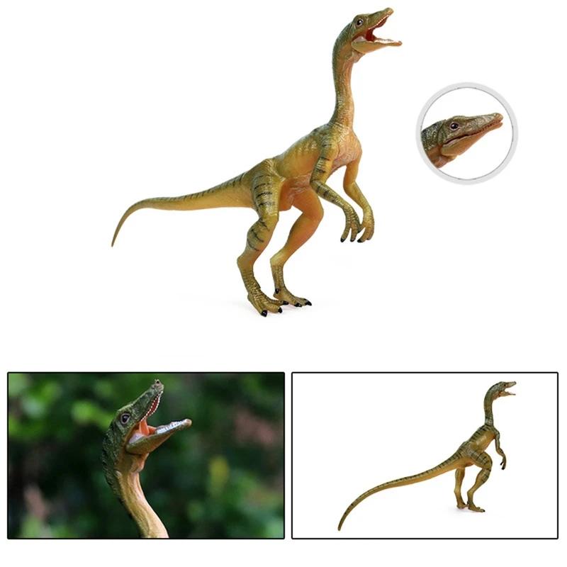   ִ  DropShipping  7in      Compsognathus